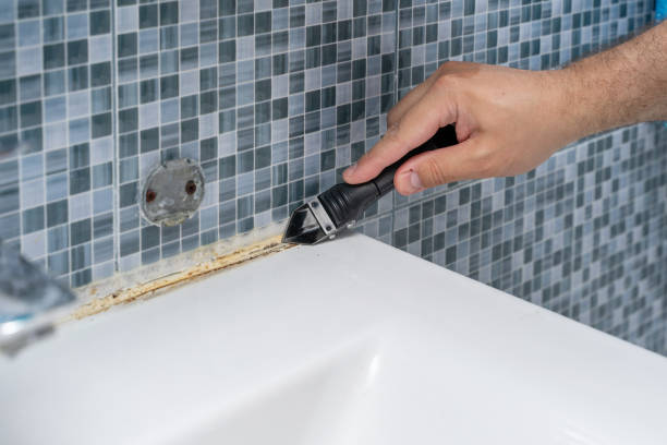 Best Basement Mold Remediation in Breckenridge, MI