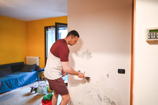 Best Health and Safety Mold Remediation in Breckenridge, MI
